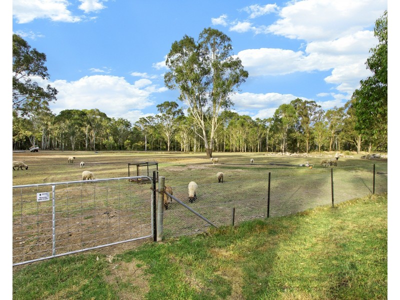 141 Carrington Road, Londonderry NSW 2753