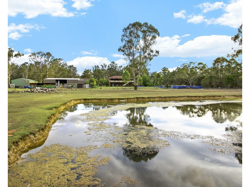 141 Carrington Road, Londonderry NSW 2753