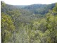 East Kurrajong NSW 2758