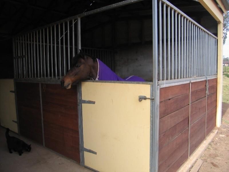 648 Terrace Road, Freemans Reach NSW 2756