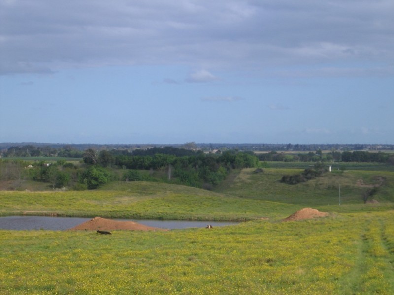 Wilberforce NSW 2756