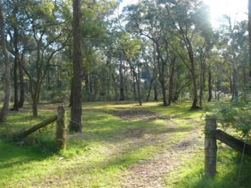 45 Camberwell Road, Vineyard NSW 2765