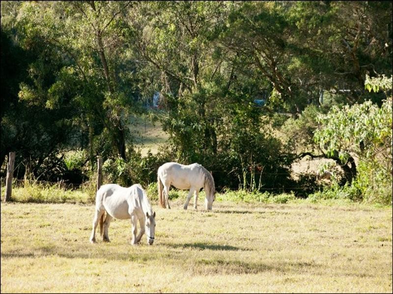 1928 Putty Road, Colo NSW 2756