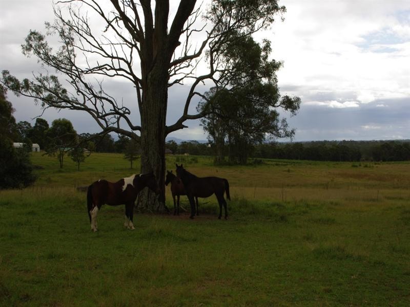 Freemans Reach NSW 2756