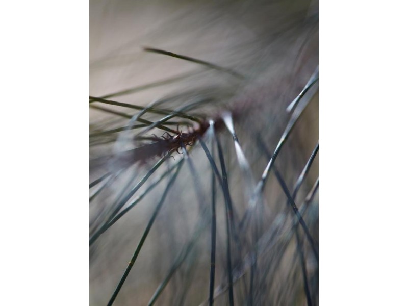 Howes Valley NSW 2330