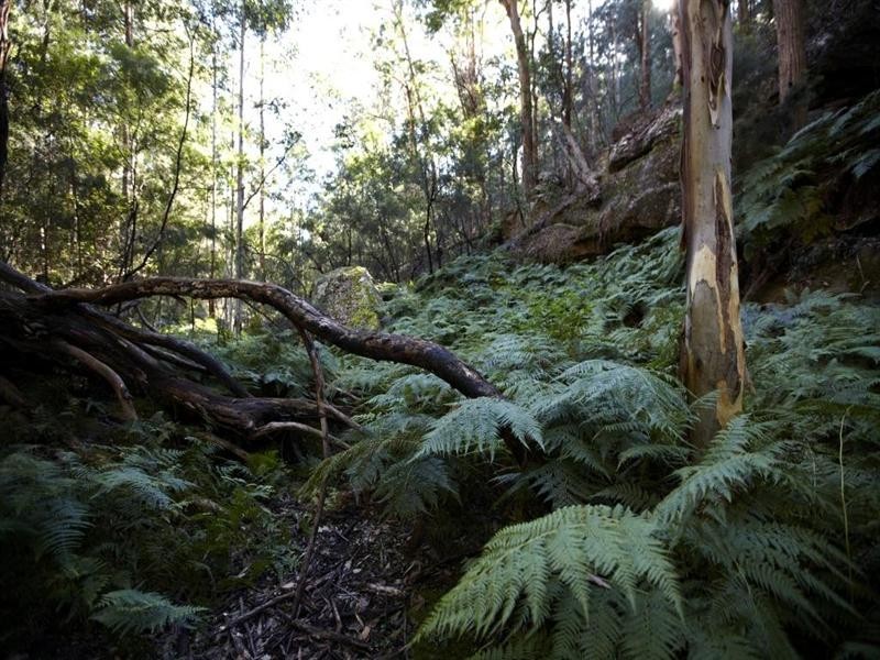 Howes Valley NSW 2330