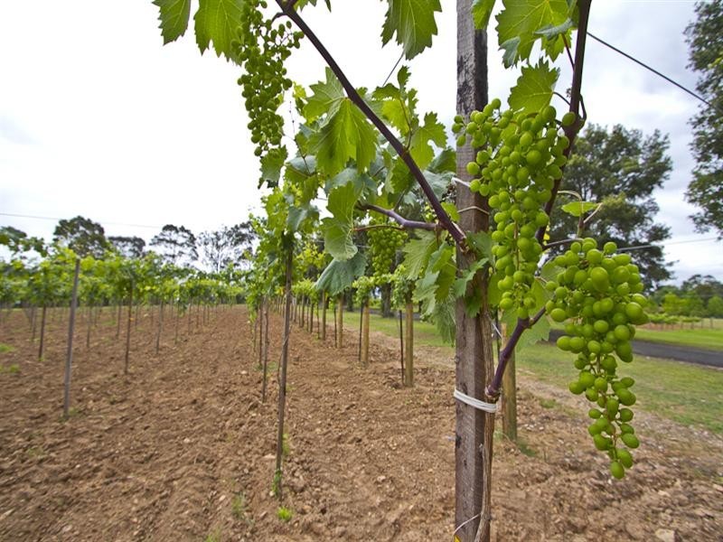 58 Blaxlands ridge Road, Kurrajong NSW 2758