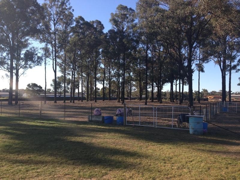 146 St Marys Road, Berkshire Park NSW 2765