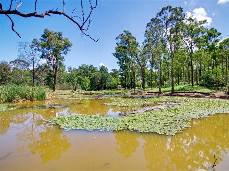 100 Carrington Road, Londonderry NSW 2753