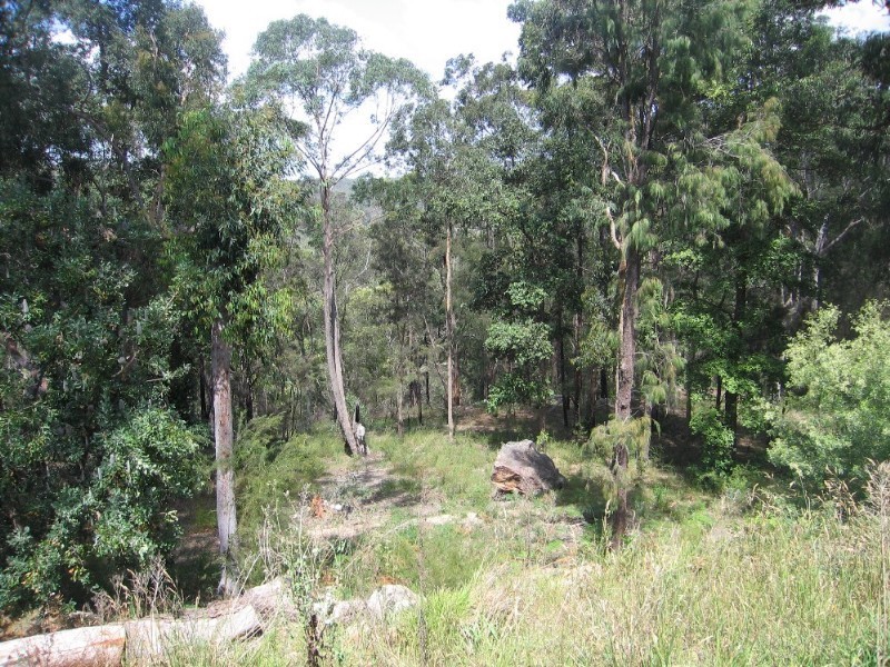 Lower Portland NSW 2756