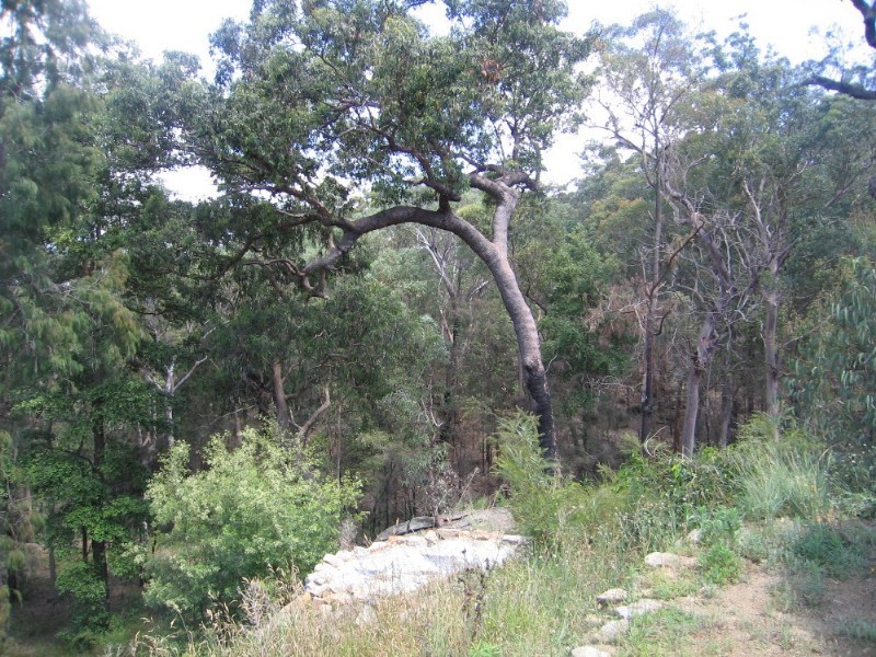 Lower Portland NSW 2756