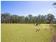 102C McMahons Road, Kurrajong NSW 2758