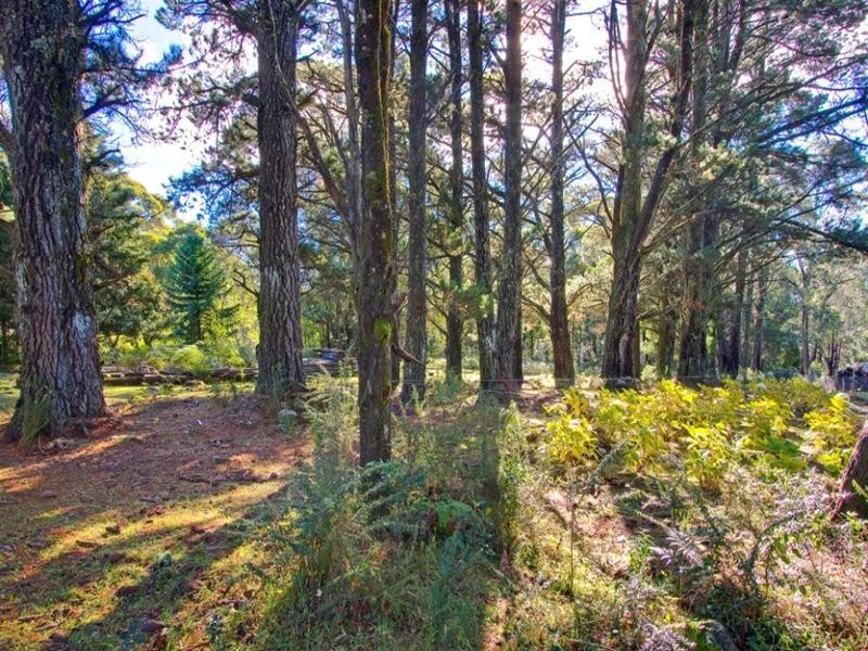 14-34 Rainbow Ravine Road, Bilpin NSW 2758