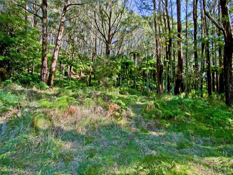 14-34 Rainbow Ravine Road, Bilpin NSW 2758