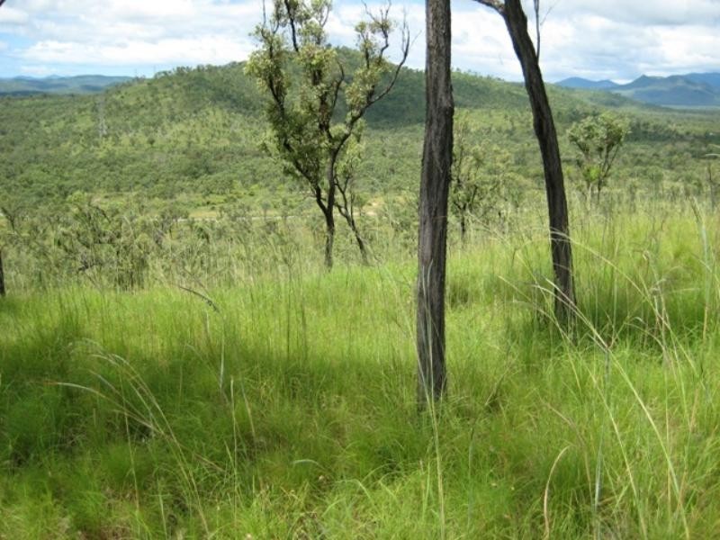Lot 5 Chisholm Trail, Oak Valley QLD 4811