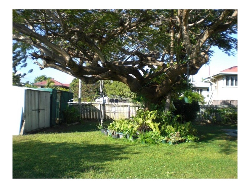 31 Douglas Street, Garbutt QLD 4814