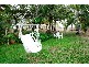 4 The Esplanade, Toolakea QLD 4818