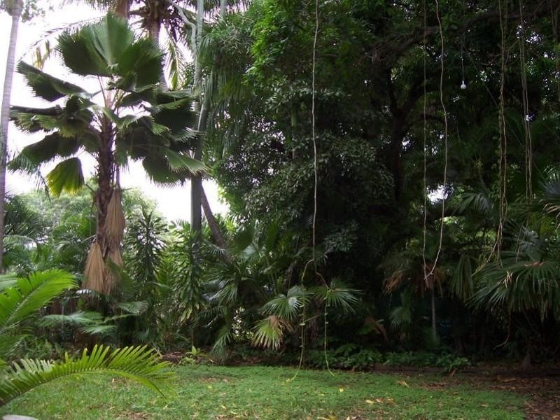 19 Lamington Road, West End QLD 4810