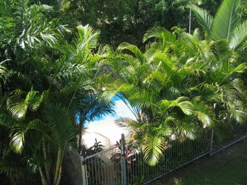 19 Country Road, Nome QLD 4816