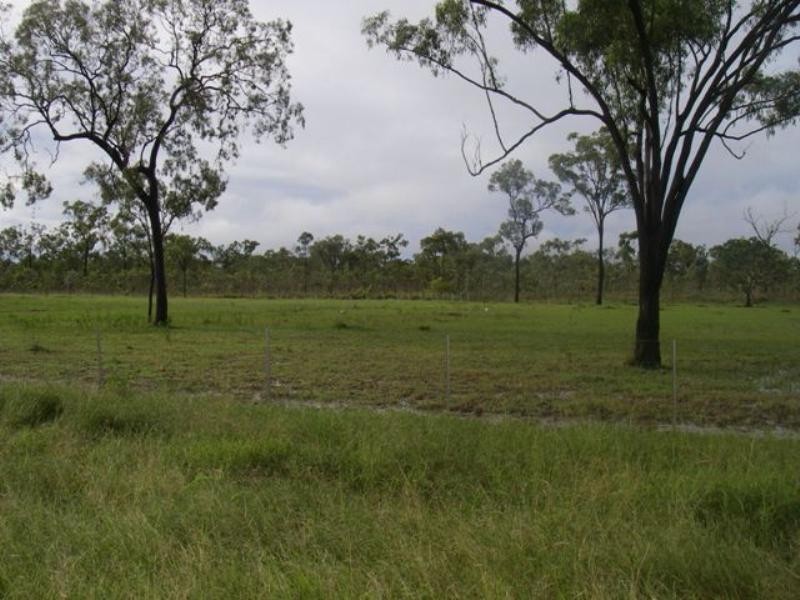 4 Blackstar Place, Black River QLD 4818