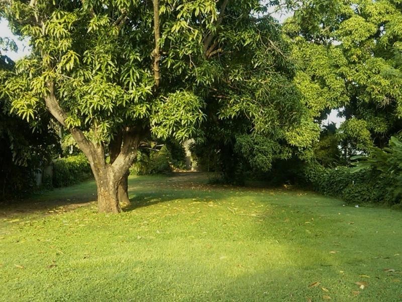 12 Mears Street, Mysterton QLD 4812