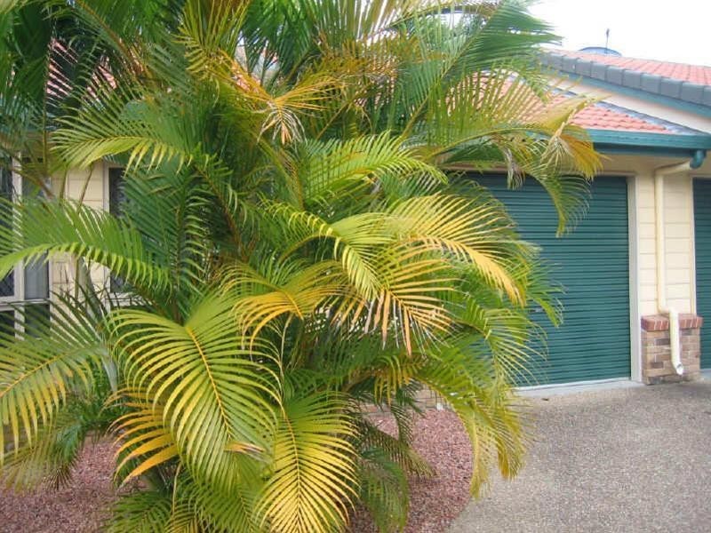 1/15 Thompson Street, Aitkenvale QLD 4814