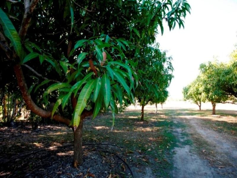 49 Brisbane Drive, Jensen QLD 4818