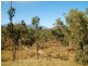 176 Chisholm Trail, Oak Valley QLD 4811