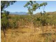 176 Chisholm Trail, Oak Valley QLD 4811