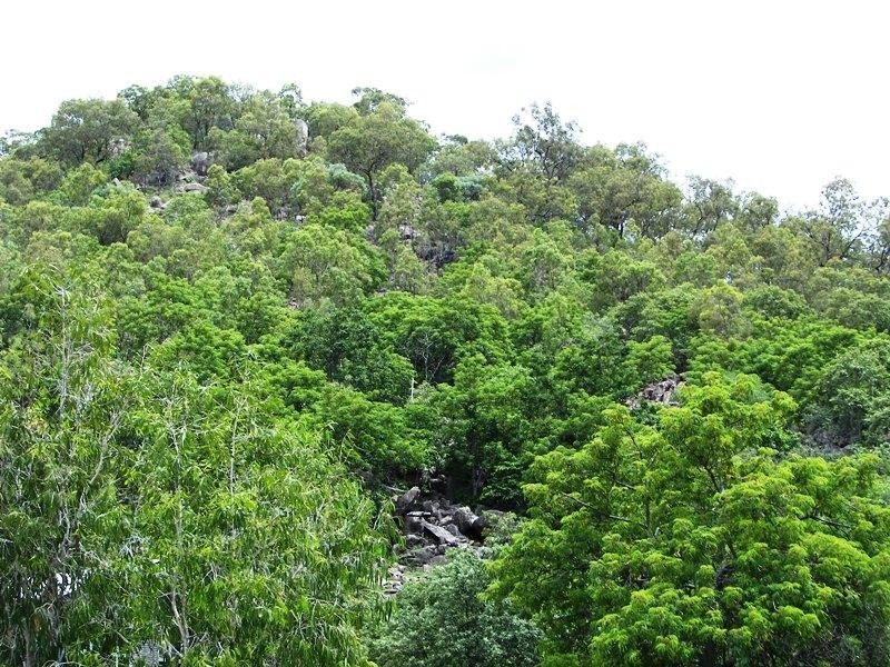 37 Wallaby Way, Horseshoe Bay QLD 4819