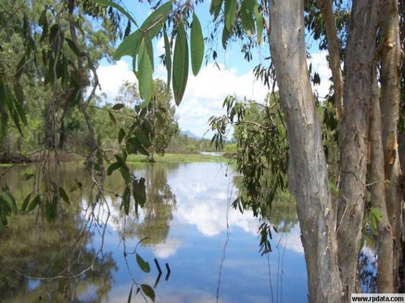 178 Quigley Road, Majors Creek QLD 4816