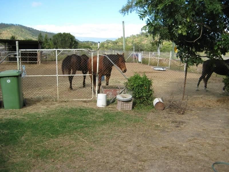 180 Southwood Road, Stuart QLD 4811