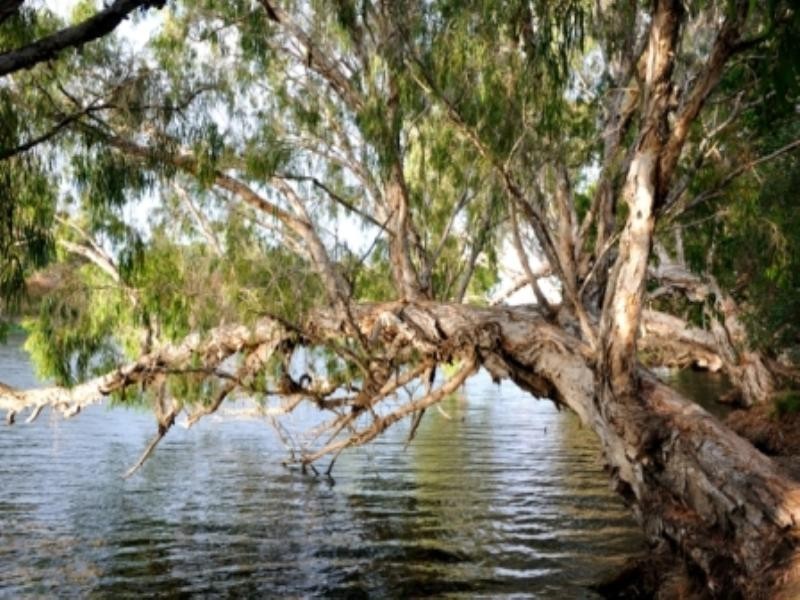 11 Scholars Place, Douglas QLD 4814