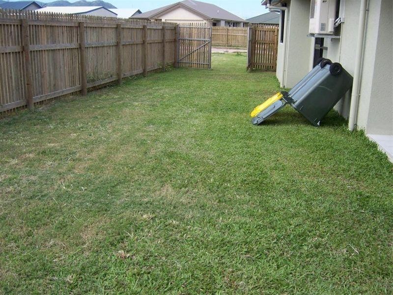 12 Chaimberlane Place, Kirwan QLD 4817