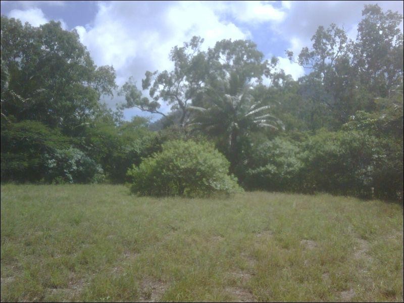 46 Kelly Street, Nelly Bay, Magnetic Island QLD 4819