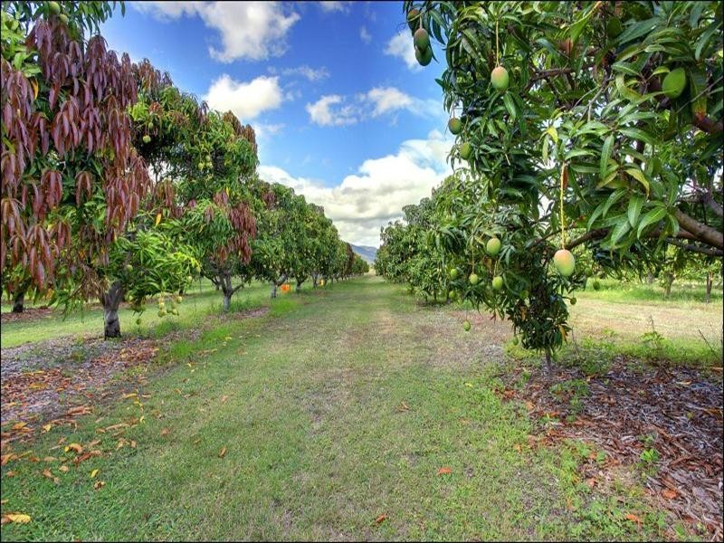 15 Williams Road, Alligator Creek QLD 4816