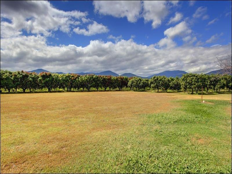 15 Williams Road, Alligator Creek QLD 4816