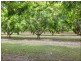 15 Williams Road, Alligator Creek QLD 4816