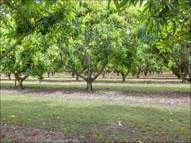 15 Williams Road, Alligator Creek QLD 4816