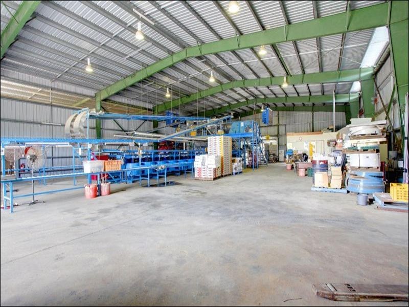 15 Williams Road, Alligator Creek QLD 4816