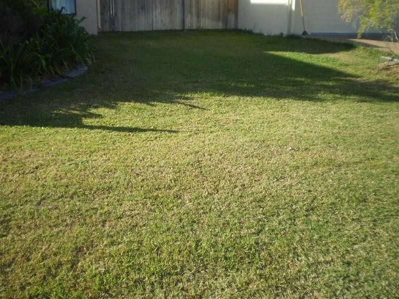 59 Springbrook Parade, Idalia QLD 4811