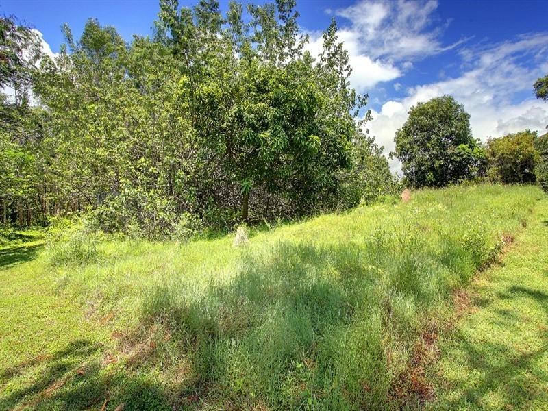 24 Howitson Drive, Balgal Beach QLD 4816