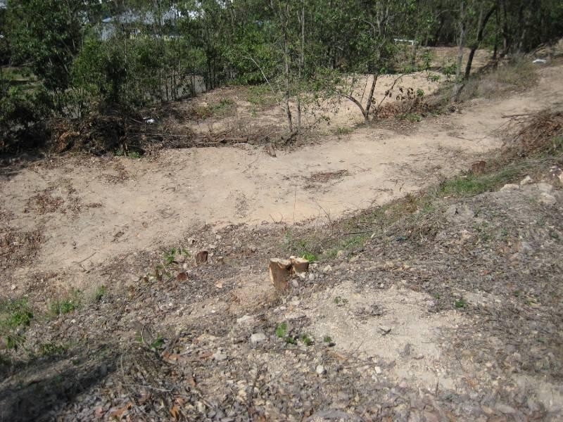 8 Saltwater Drive, Toomulla QLD 4816