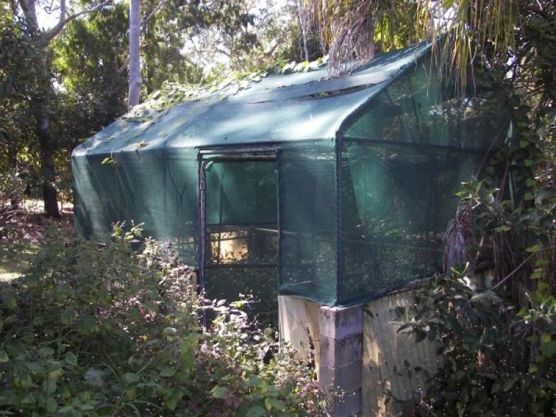 52 Hayles Avenue, Arcadia QLD 4819