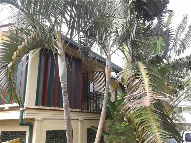 3 Gosper Street, Vincent QLD 4814