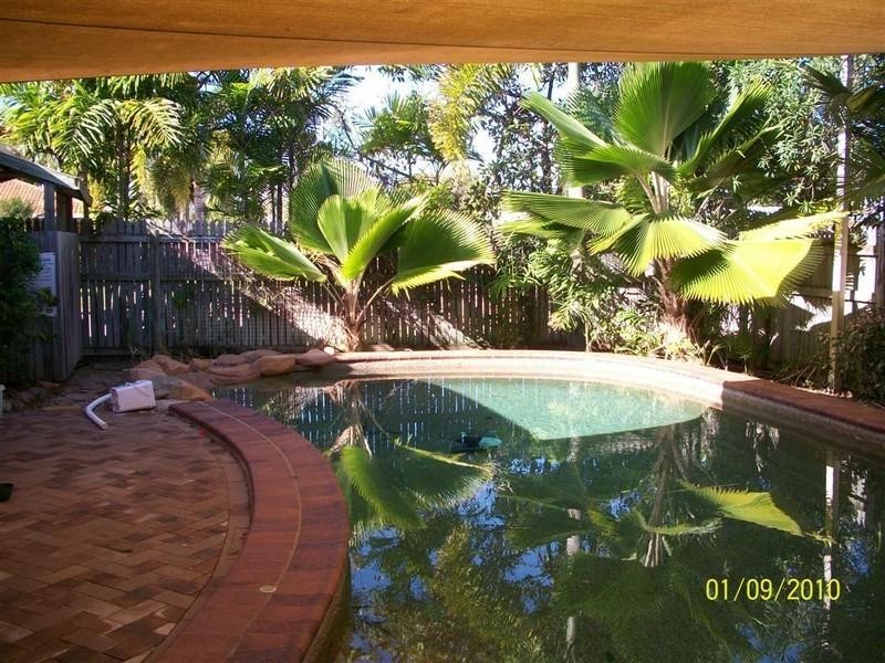 1 Cycad Court, Annandale QLD 4814