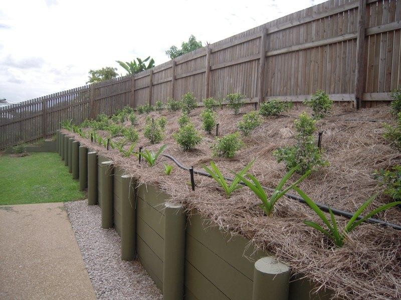 20 Chapple Street, Mount Louisa QLD 4814