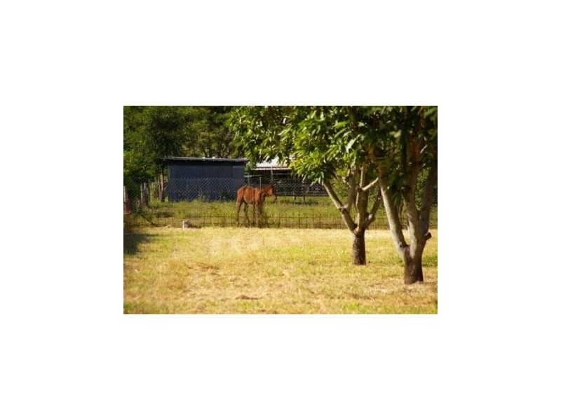 23 Julago Street, Julago QLD 4816