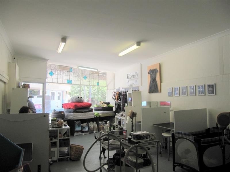 51 Clovelly Road, Clovelly NSW 2031