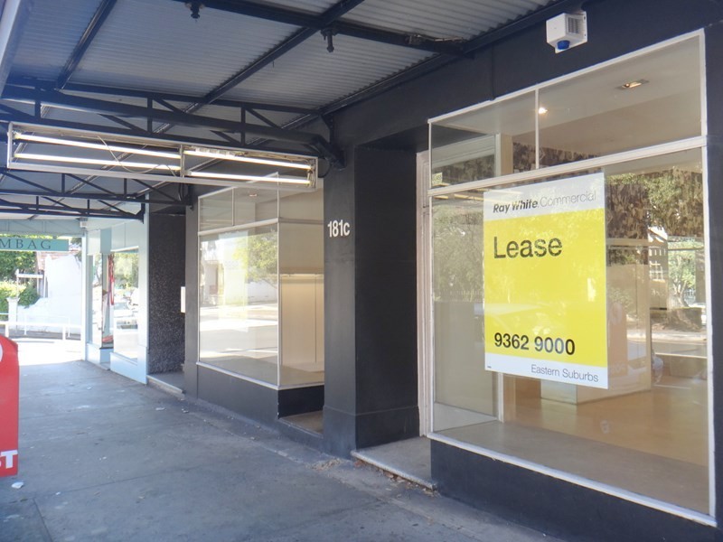 Shop 2, 181c Edgecliff Road, Woollahra NSW 2025